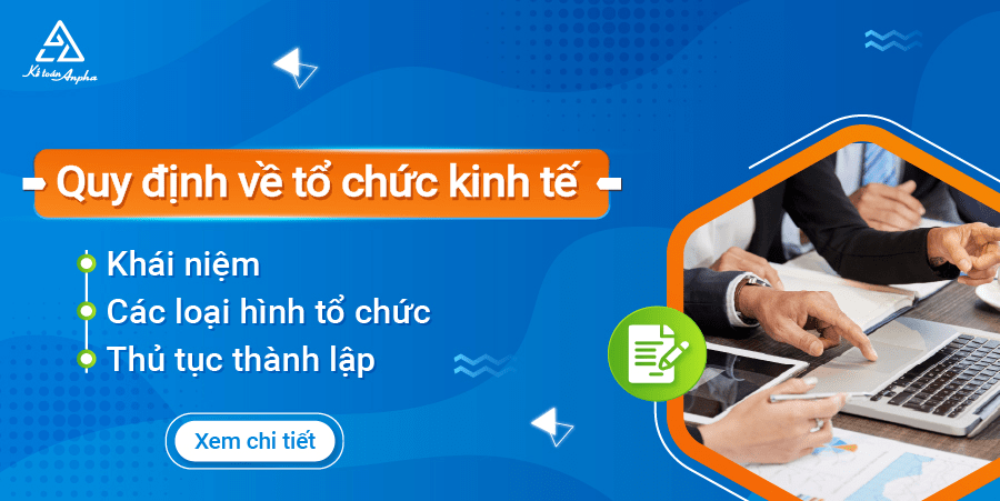 Tổ chức kinh tế là gì? Các loại hình tổ chức kinh tế ở Việt&nbsp;Nam